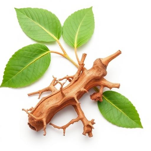 Ashwagandha