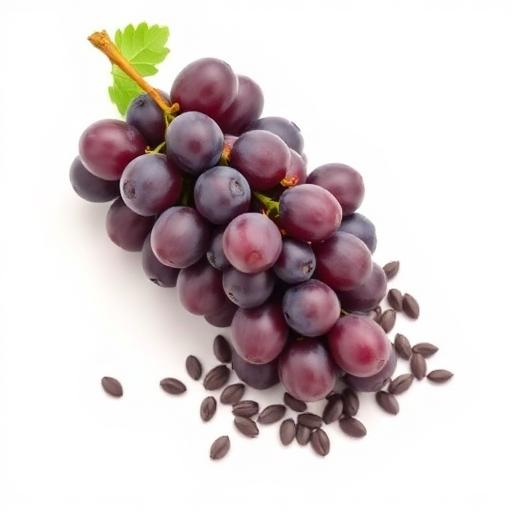Grape Seed Extract